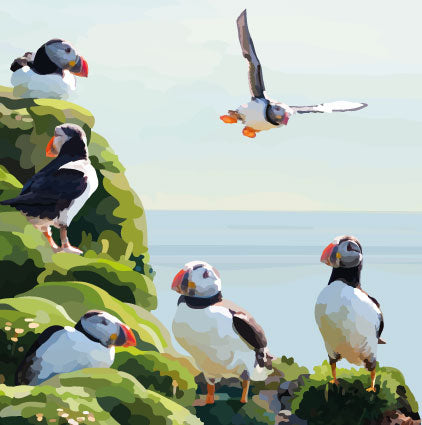 Puffin Friends