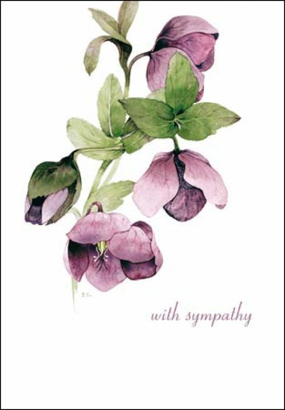 With Sympathy