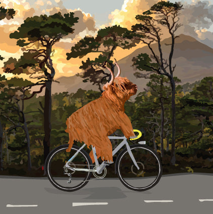 Cycling Cow