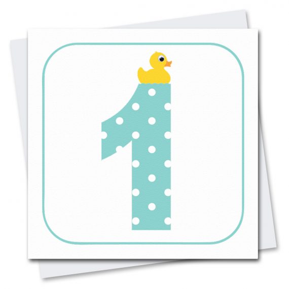 Age 1 Duck