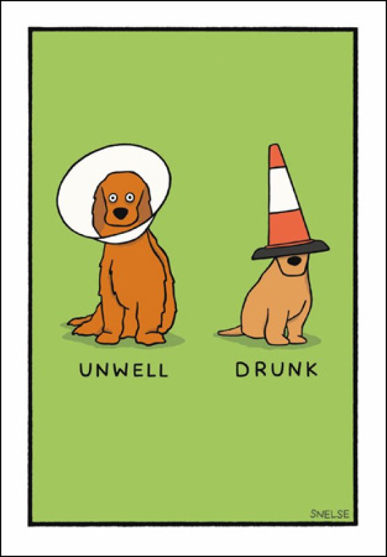 Dog Cones