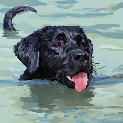 Labrador Swimming