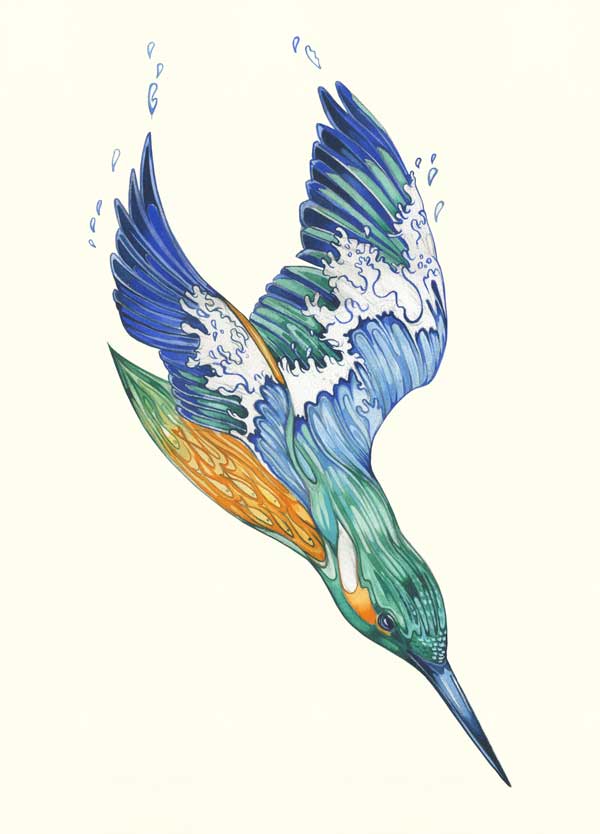 Kingfisher