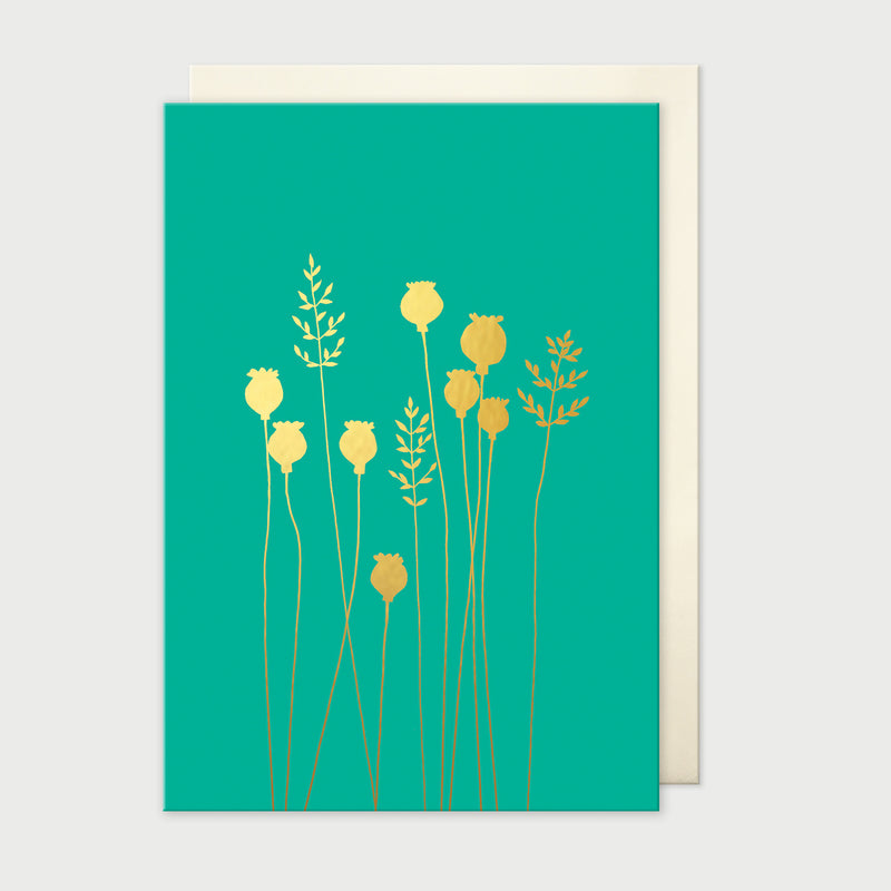 Poppyheads & Grass