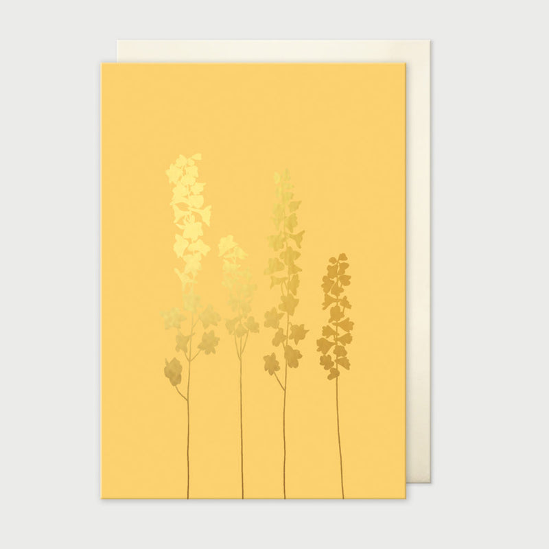 Delphinium Blank