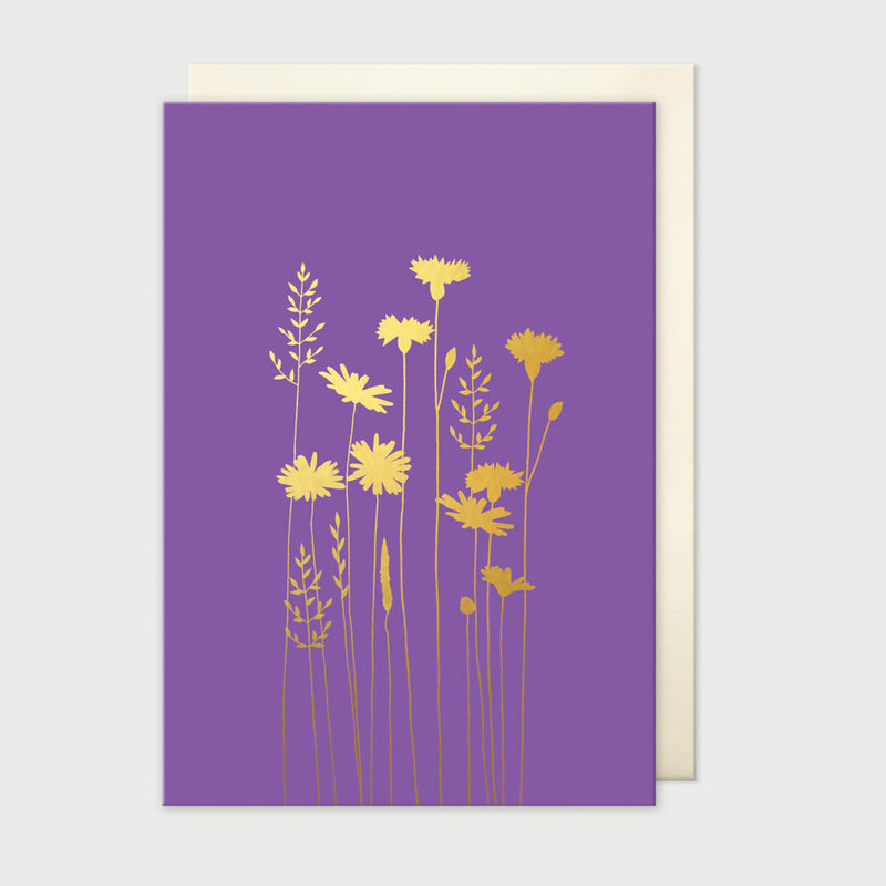 Cornflowers & Daisies Blank