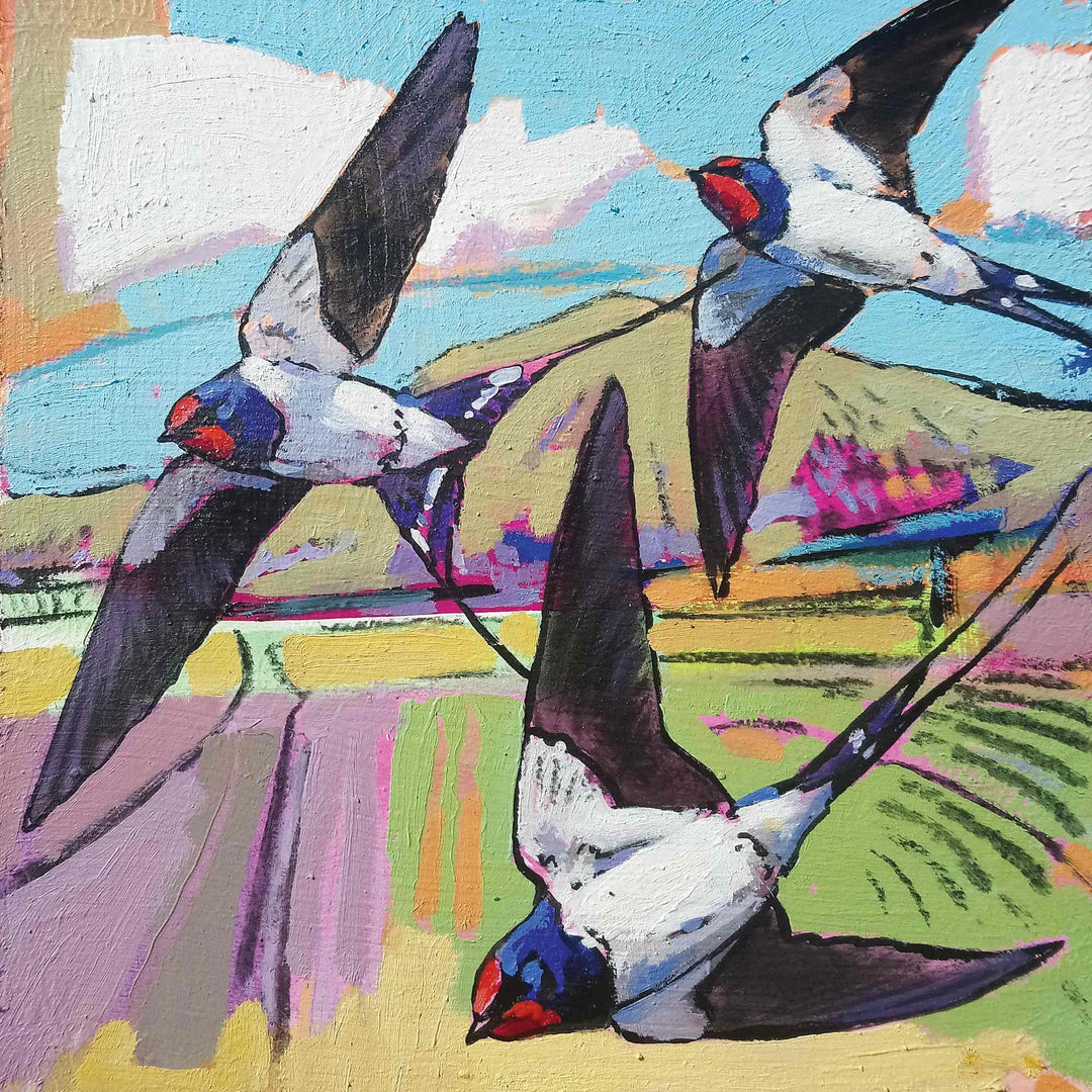 Swallows