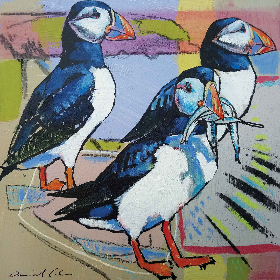 Puffins