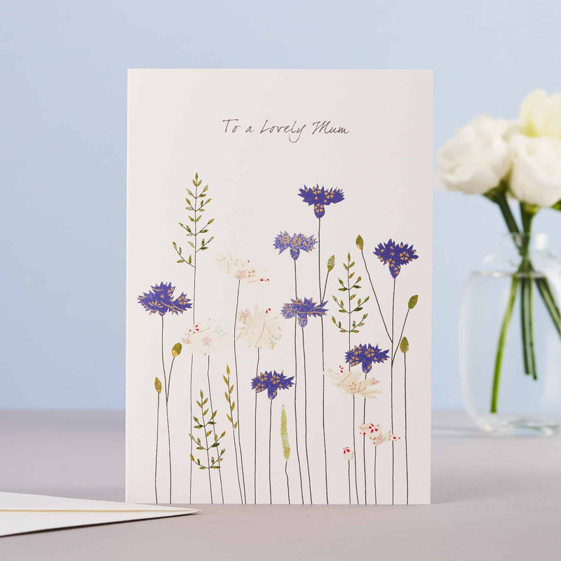 Cornflowers & Daisies Mother&