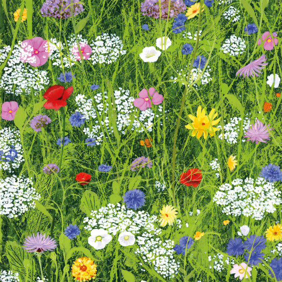 WILD FLOWER GARDEN