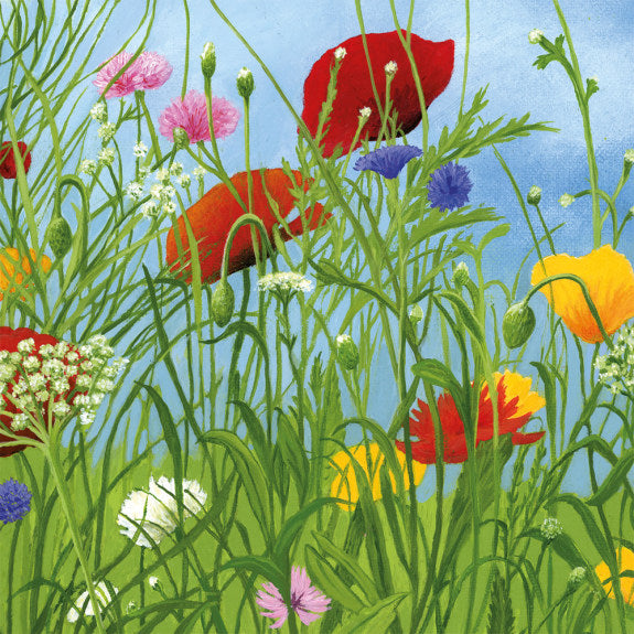 WILD FLOWER GARDEN