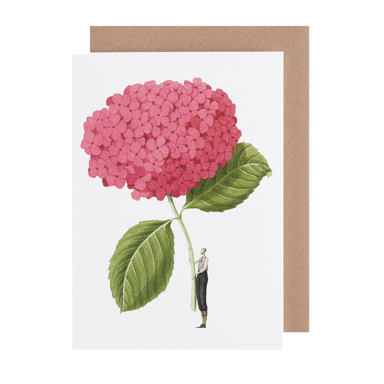 Hydrangea Deep Pink
