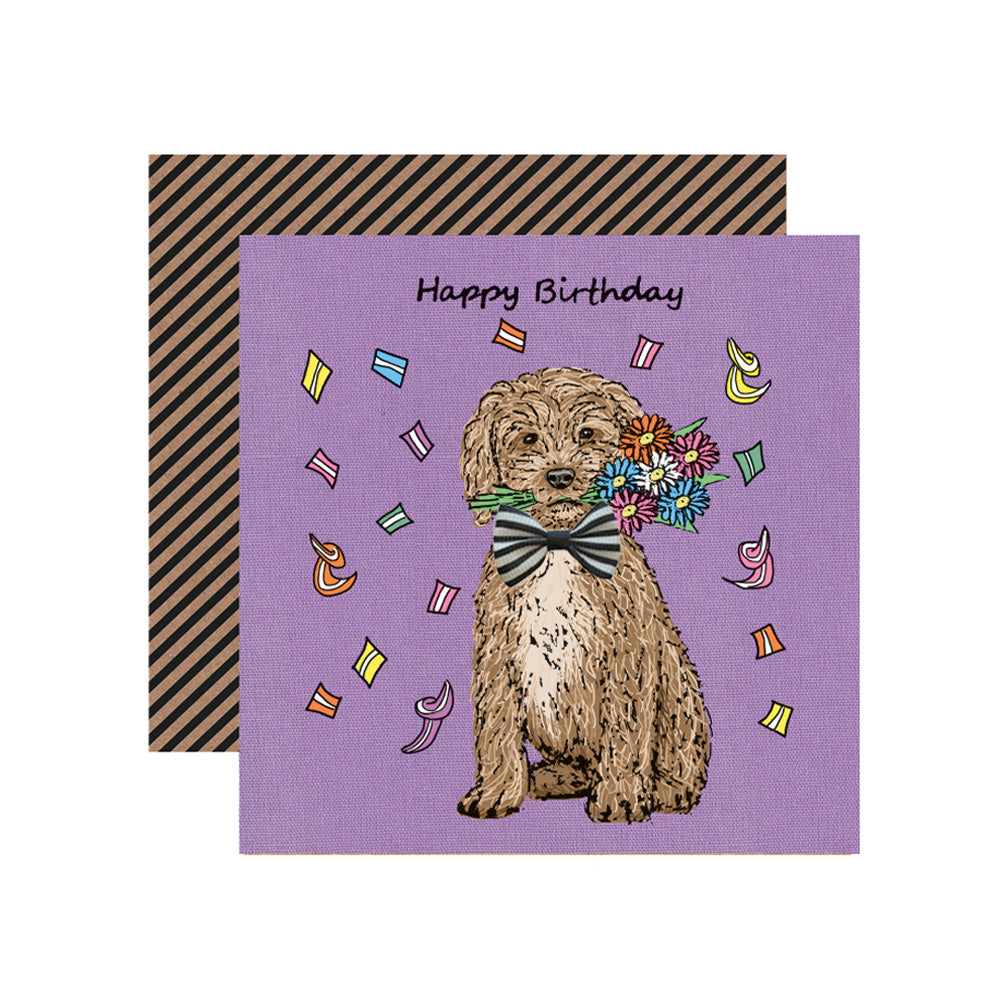 Cockapoo