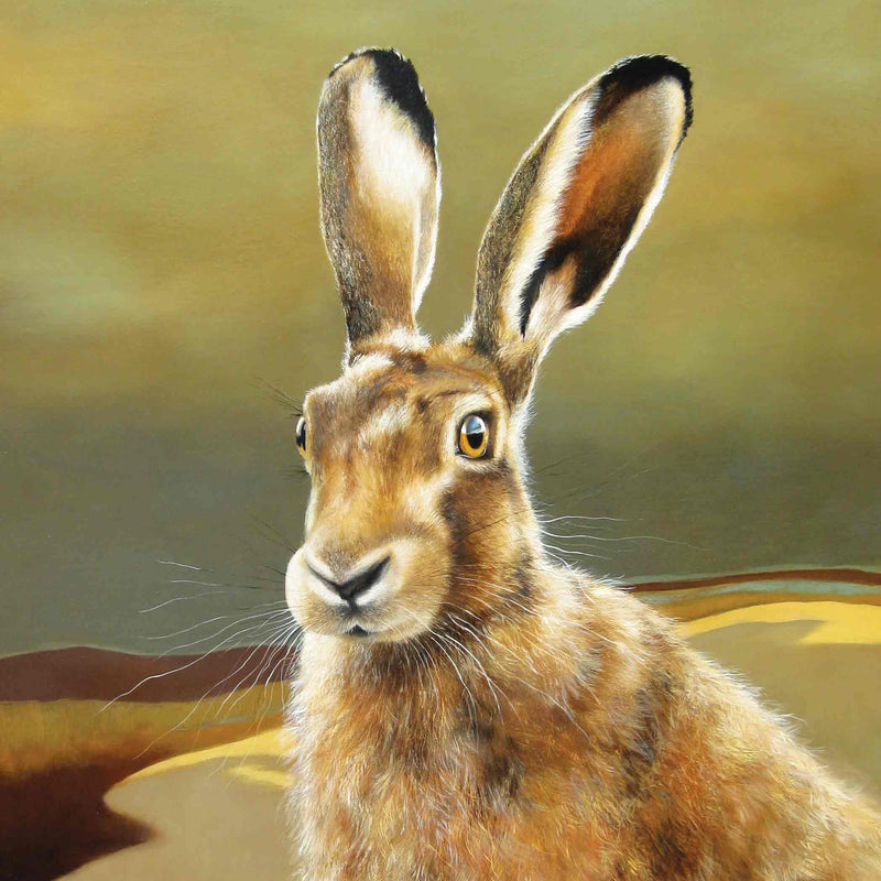 Hare on the Moor