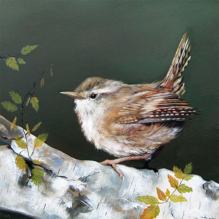 Ruffled Wren
