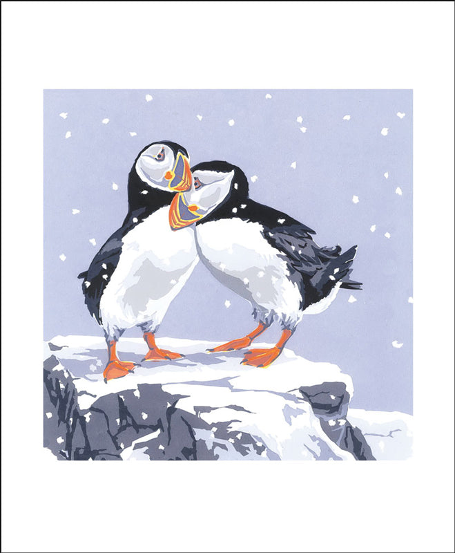 Snowy Puffins