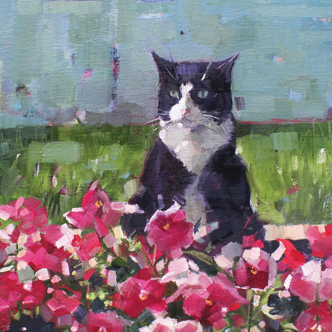 Ringo and Pansies