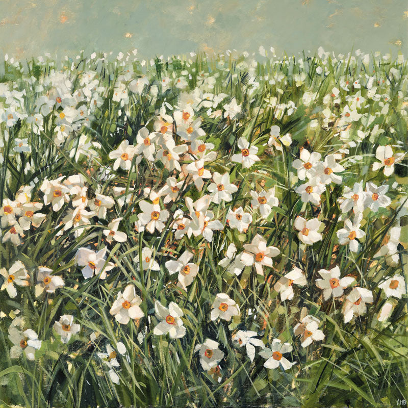 Field of Narcissi