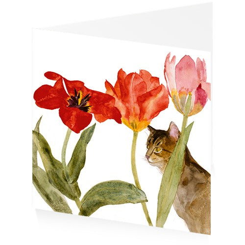 Cat Amongst Tulips