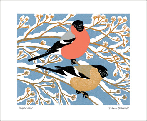 Bullfinches