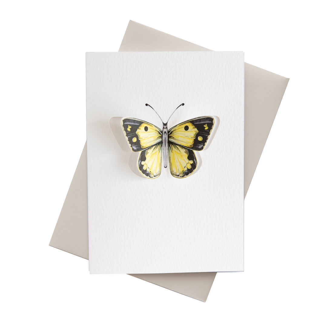 Pop Out Clouded Yellow Butterfly