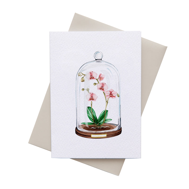 Orchid Floral