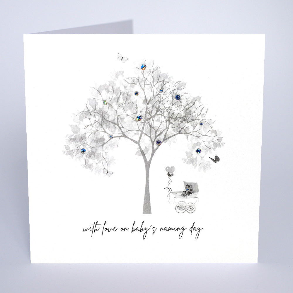 Baby's Naming Day