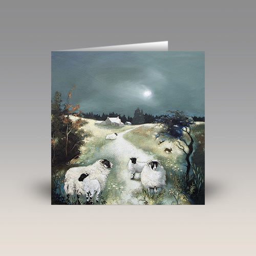 Blackies in the Evening Light