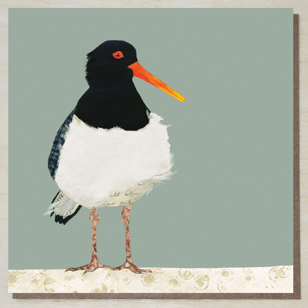 Oystercatcher