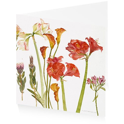 Floral Poppies and Amaryllis