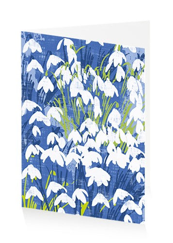 Snowdrops